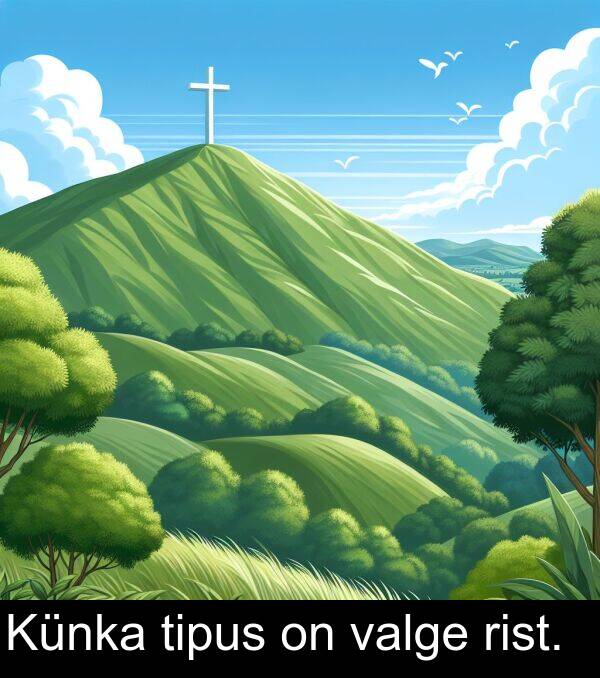rist: Künka tipus on valge rist.
