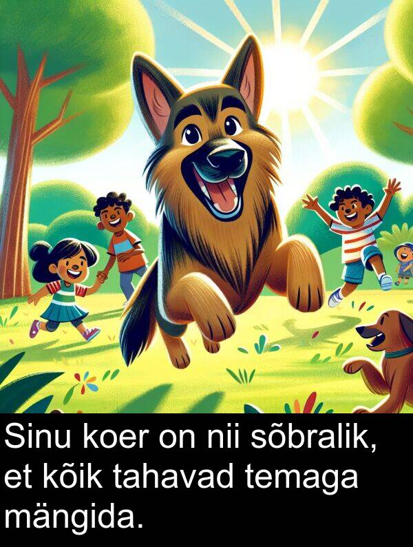 sõbralik: Sinu koer on nii sõbralik, et kõik tahavad temaga mängida.