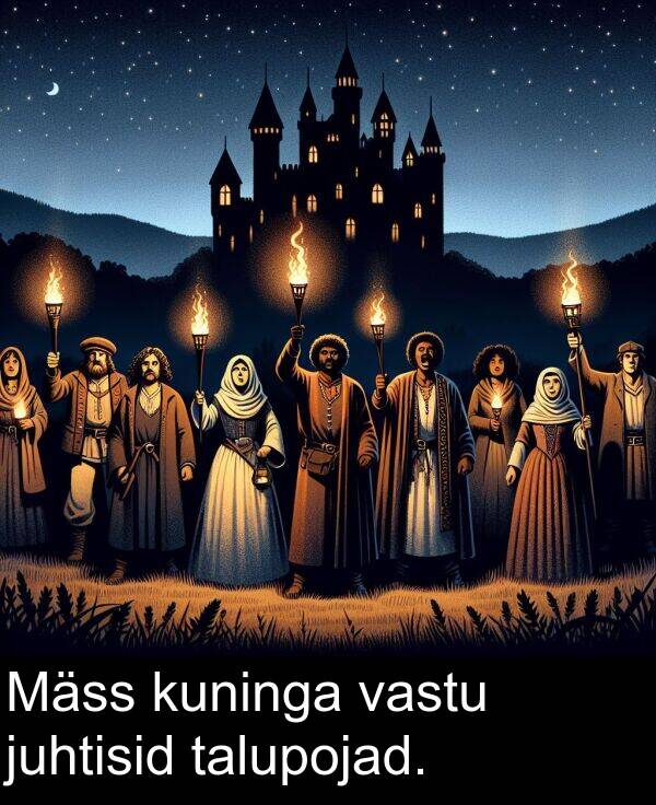 kuninga: Mäss kuninga vastu juhtisid talupojad.