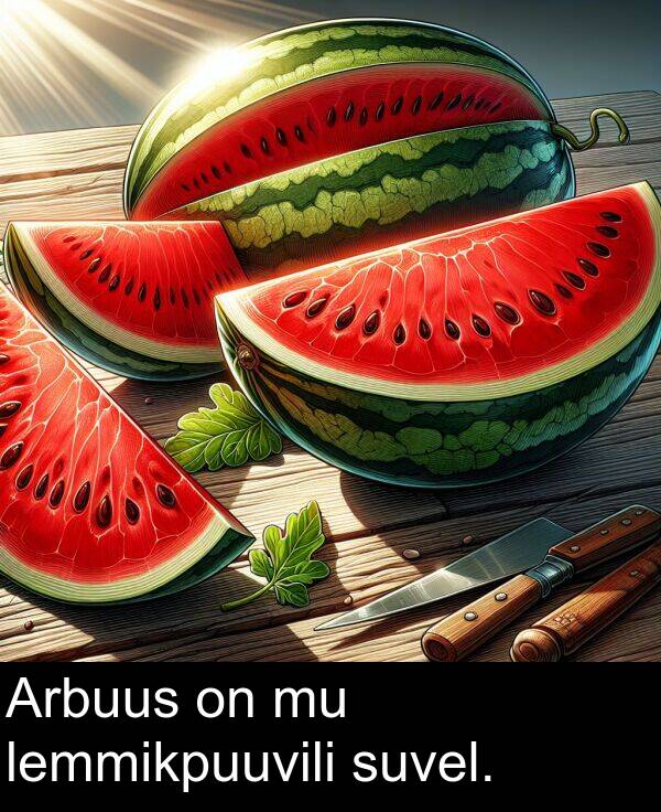 suvel: Arbuus on mu lemmikpuuvili suvel.