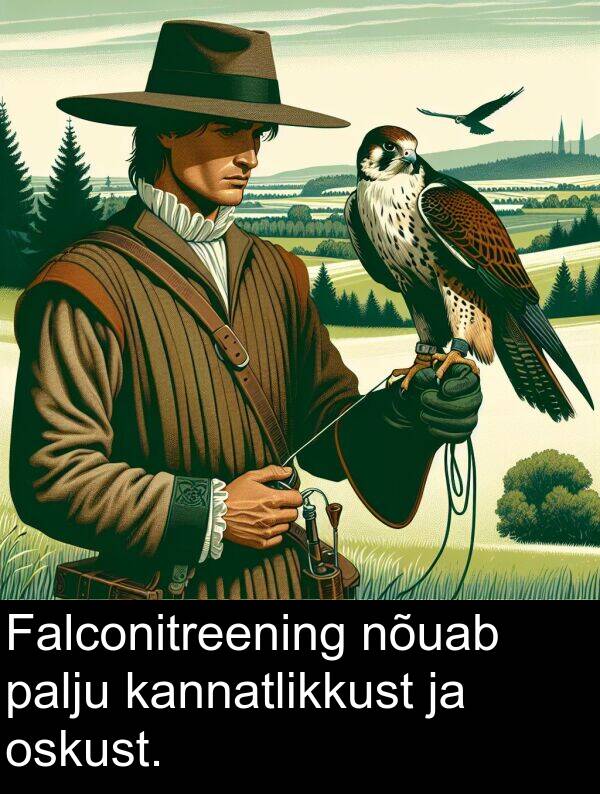 oskust: Falconitreening nõuab palju kannatlikkust ja oskust.