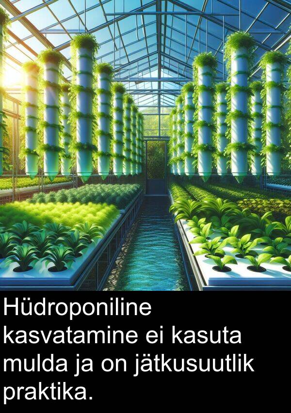 jätkusuutlik: Hüdroponiline kasvatamine ei kasuta mulda ja on jätkusuutlik praktika.