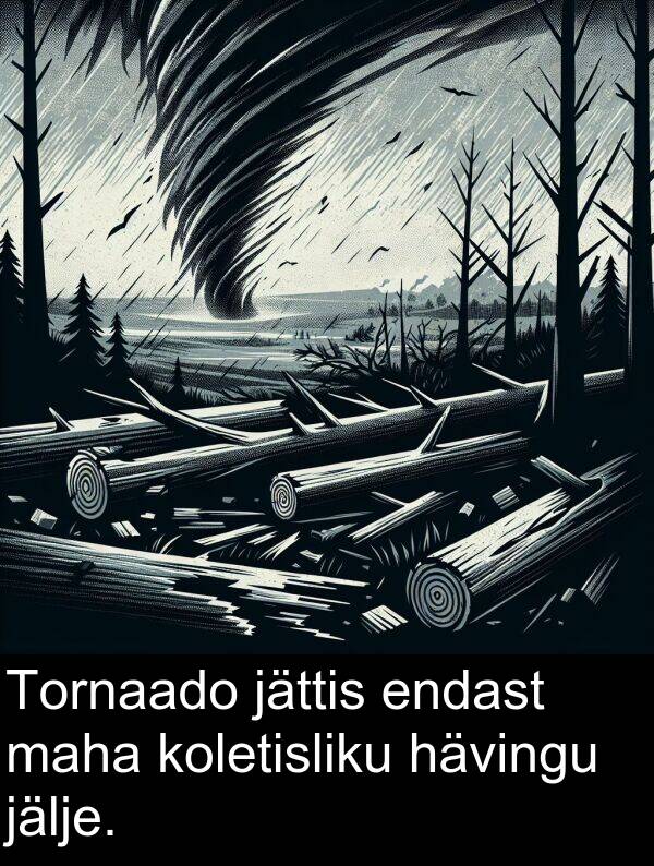 jälje: Tornaado jättis endast maha koletisliku hävingu jälje.