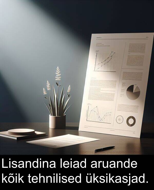 kõik: Lisandina leiad aruande kõik tehnilised üksikasjad.