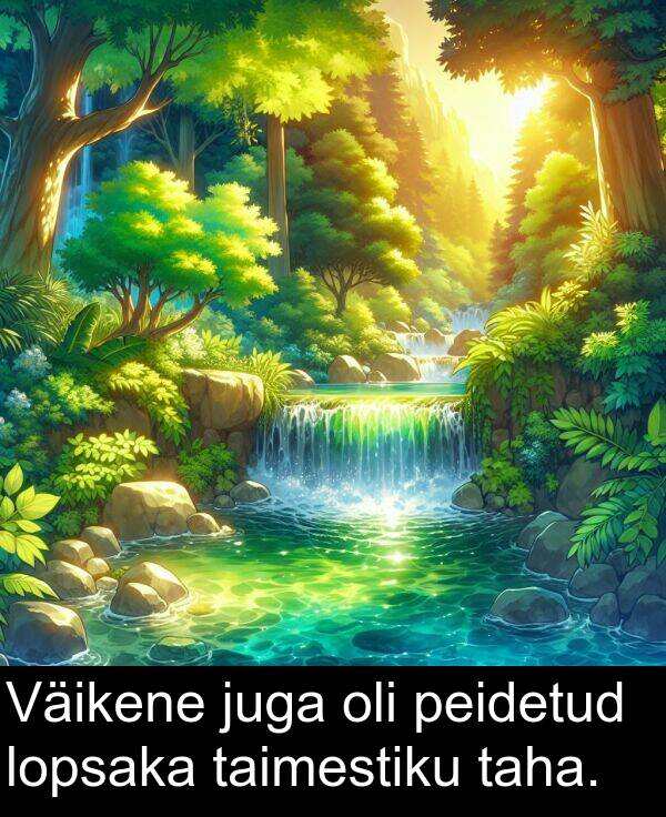 lopsaka: Väikene juga oli peidetud lopsaka taimestiku taha.