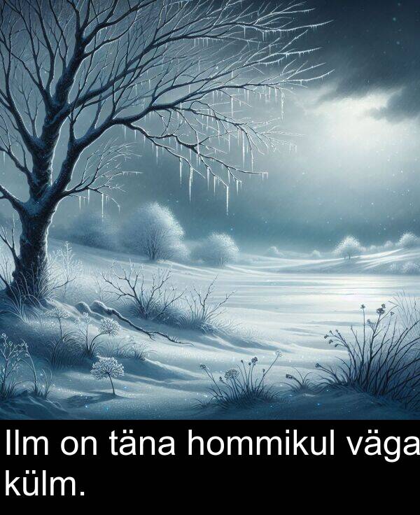 väga: Ilm on täna hommikul väga külm.