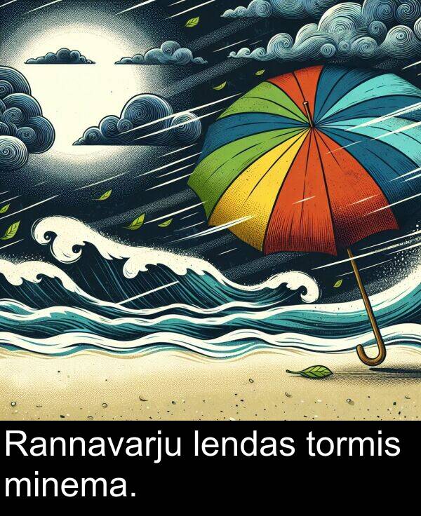 tormis: Rannavarju lendas tormis minema.