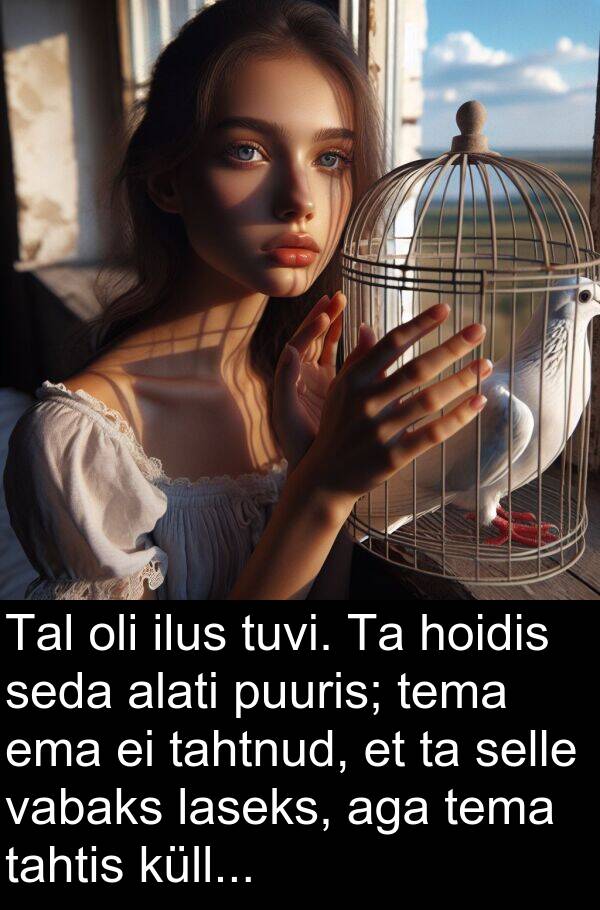 küll: Tal oli ilus tuvi. Ta hoidis seda alati puuris; tema ema ei tahtnud, et ta selle vabaks laseks, aga tema tahtis küll...