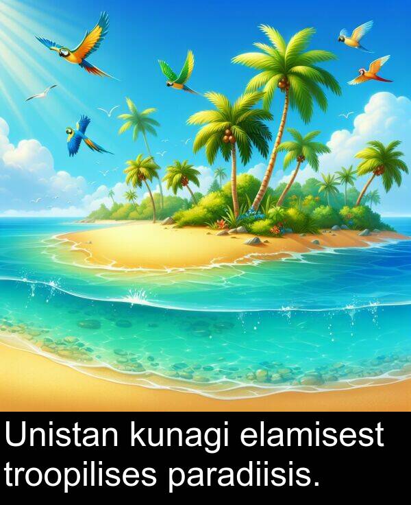 kunagi: Unistan kunagi elamisest troopilises paradiisis.