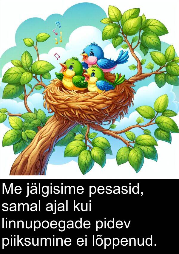 jälgisime: Me jälgisime pesasid, samal ajal kui linnupoegade pidev piiksumine ei lõppenud.