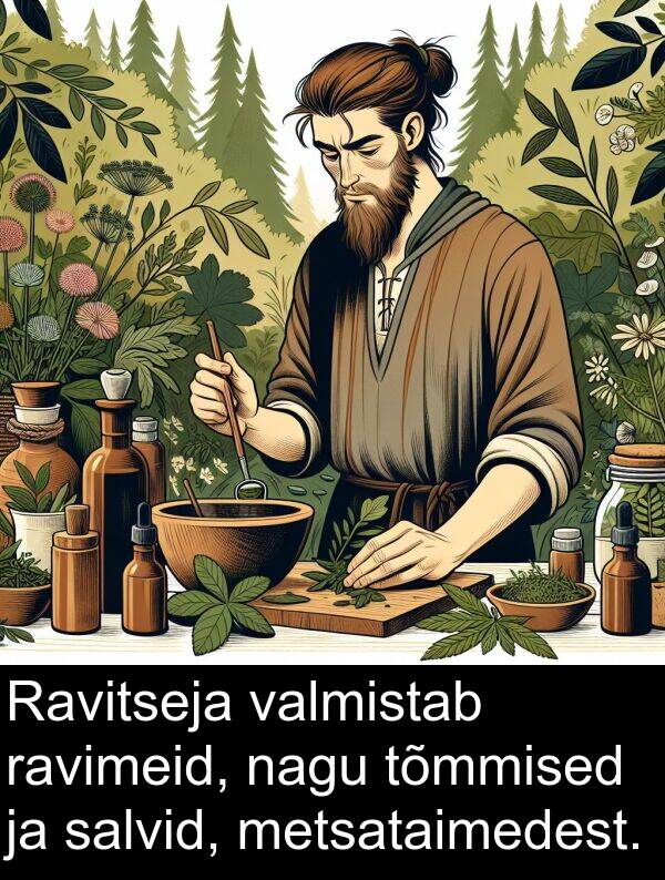metsataimedest: Ravitseja valmistab ravimeid, nagu tõmmised ja salvid, metsataimedest.