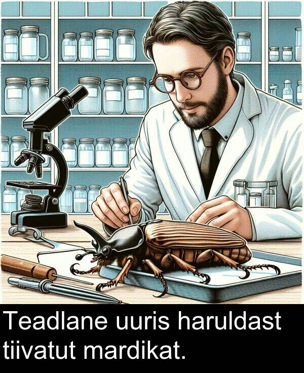 uuris: Teadlane uuris haruldast tiivatut mardikat.