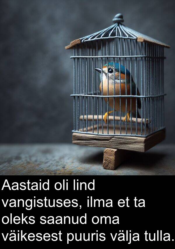 tulla: Aastaid oli lind vangistuses, ilma et ta oleks saanud oma väikesest puuris välja tulla.
