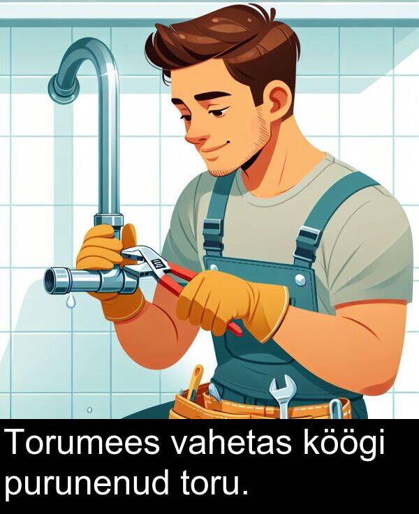 purunenud: Torumees vahetas köögi purunenud toru.