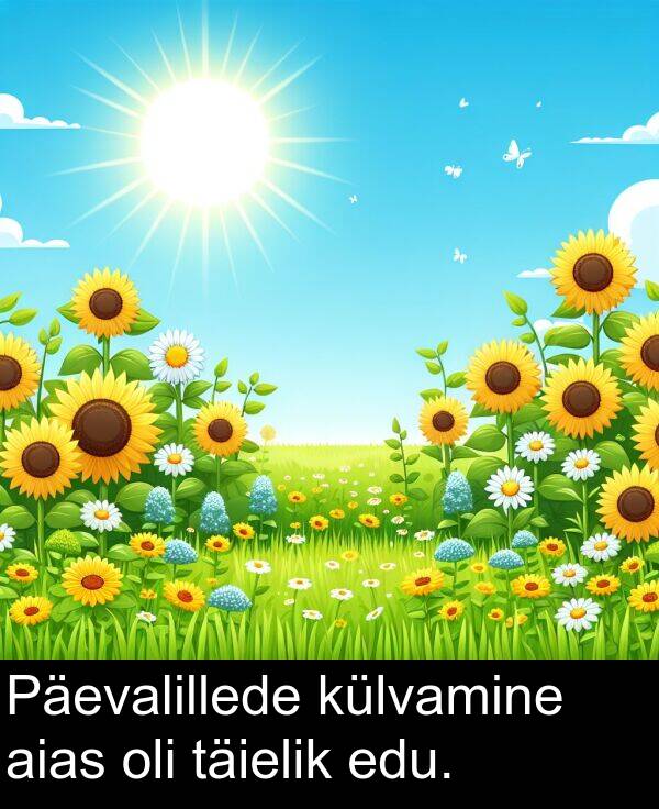 täielik: Päevalillede külvamine aias oli täielik edu.