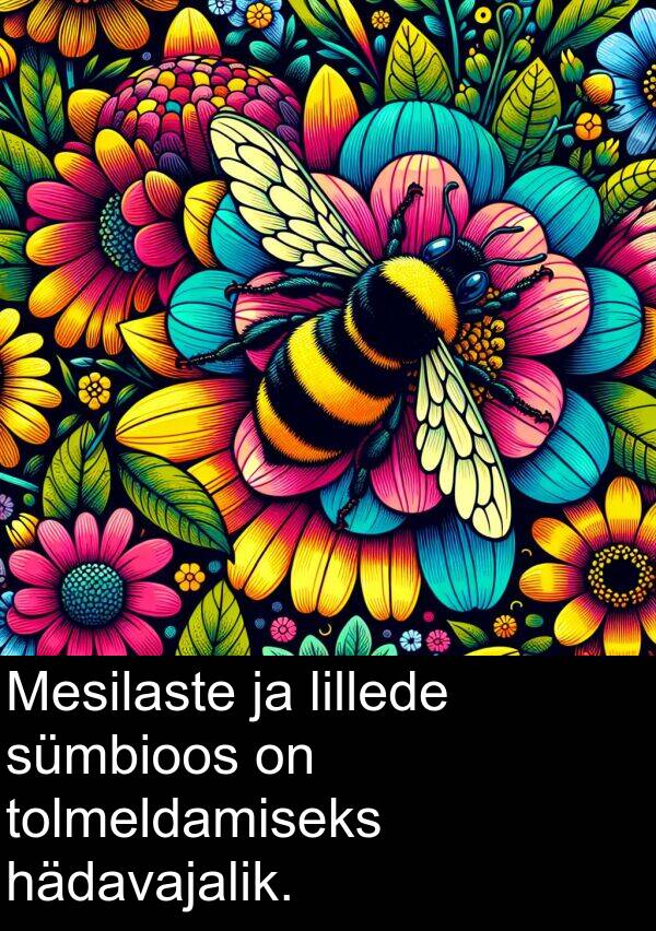 hädavajalik: Mesilaste ja lillede sümbioos on tolmeldamiseks hädavajalik.