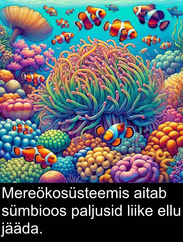sümbioos: Mereökosüsteemis aitab sümbioos paljusid liike ellu jääda.