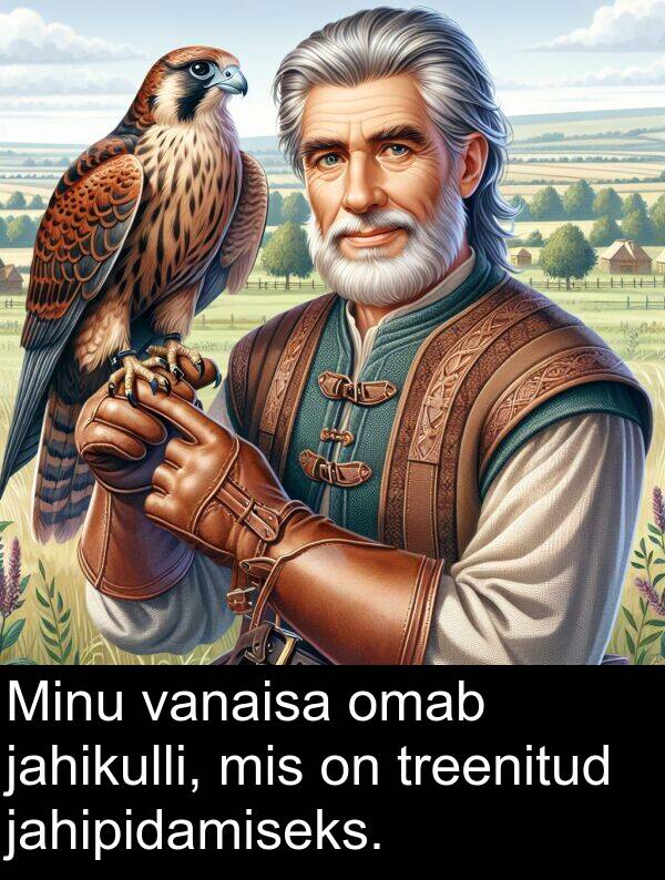 jahikulli: Minu vanaisa omab jahikulli, mis on treenitud jahipidamiseks.