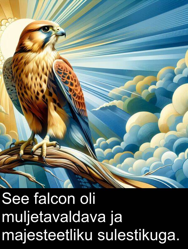 falcon: See falcon oli muljetavaldava ja majesteetliku sulestikuga.