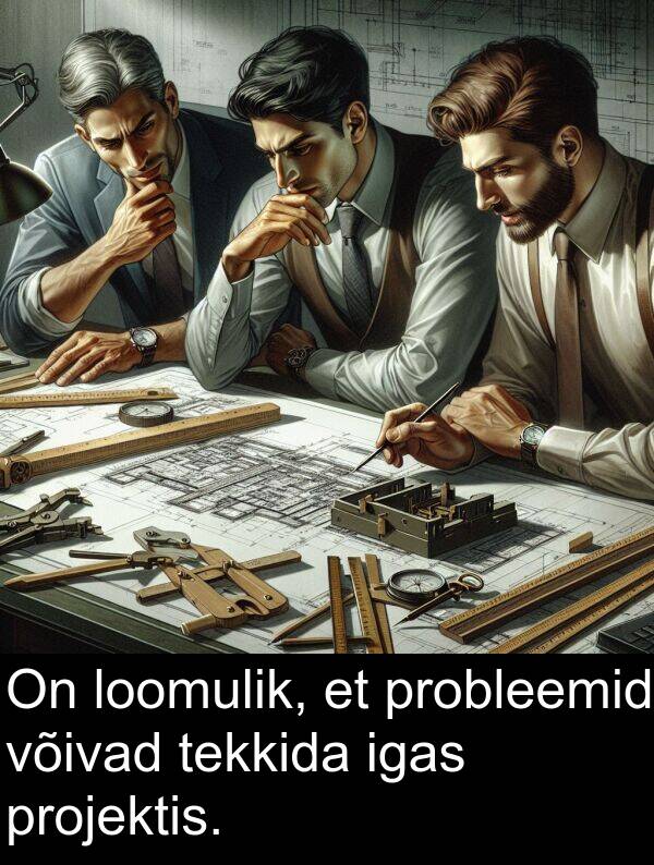 loomulik: On loomulik, et probleemid võivad tekkida igas projektis.