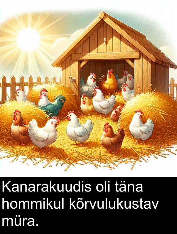 kõrvulukustav: Kanarakuudis oli täna hommikul kõrvulukustav müra.