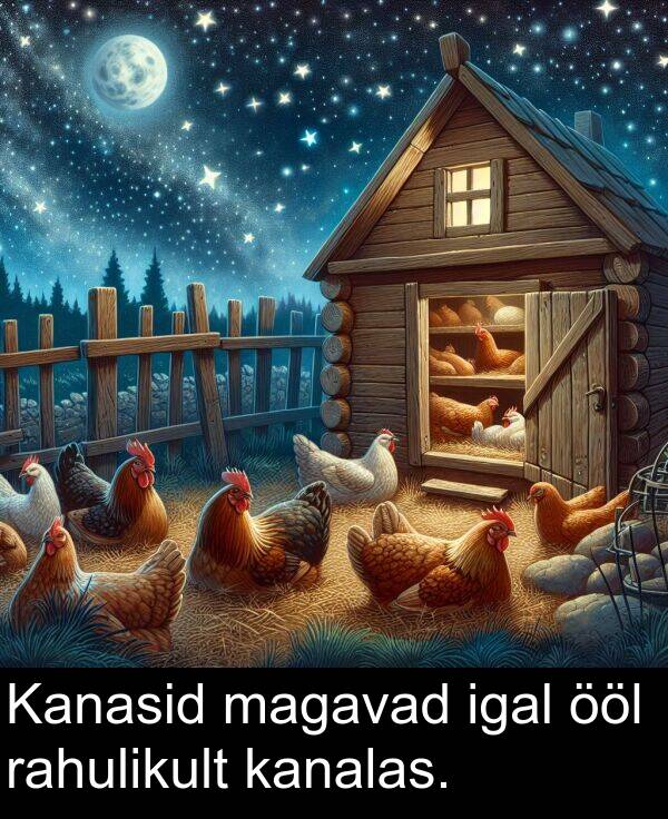 kanalas: Kanasid magavad igal ööl rahulikult kanalas.
