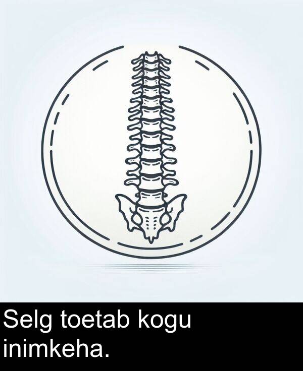 toetab: Selg toetab kogu inimkeha.