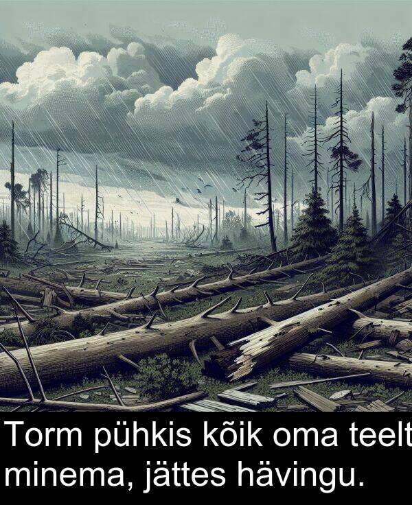 minema: Torm pühkis kõik oma teelt minema, jättes hävingu.