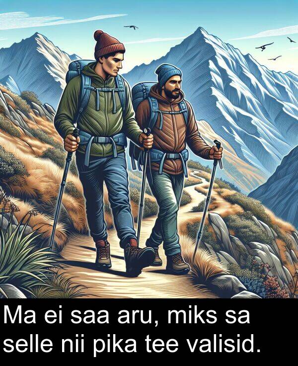 miks: Ma ei saa aru, miks sa selle nii pika tee valisid.