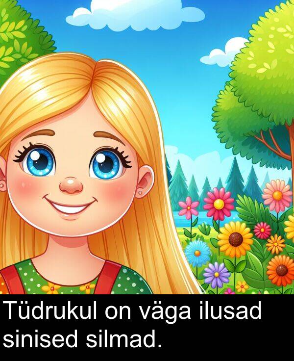 sinised: Tüdrukul on väga ilusad sinised silmad.