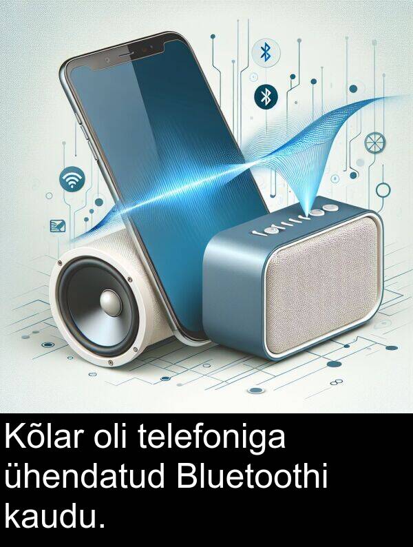 telefoniga: Kõlar oli telefoniga ühendatud Bluetoothi kaudu.