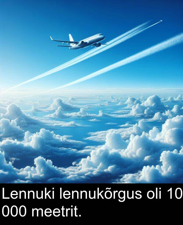 lennukõrgus: Lennuki lennukõrgus oli 10 000 meetrit.
