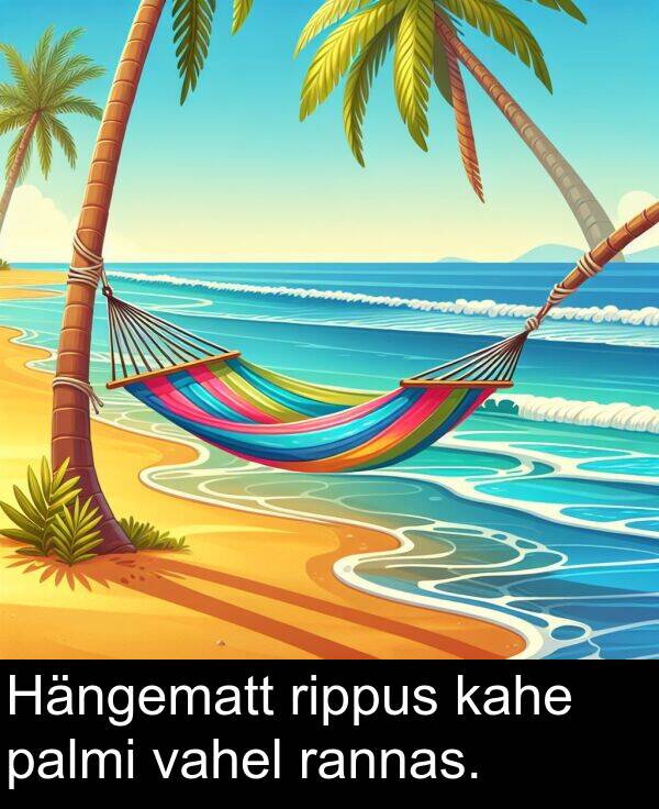 rippus: Hängematt rippus kahe palmi vahel rannas.