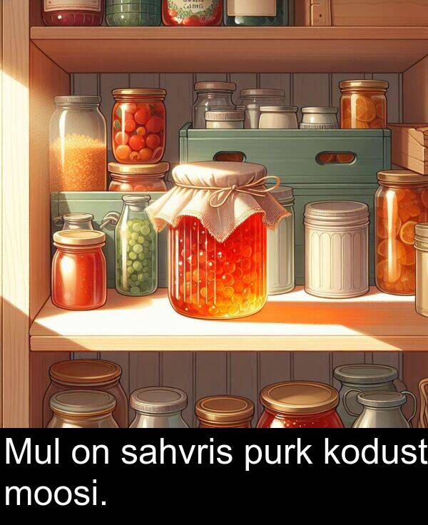 sahvris: Mul on sahvris purk kodust moosi.