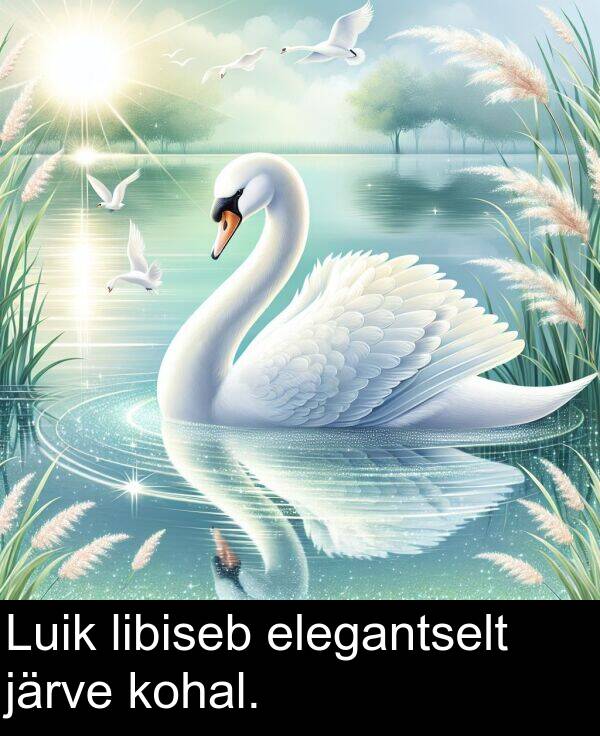 elegantselt: Luik libiseb elegantselt järve kohal.