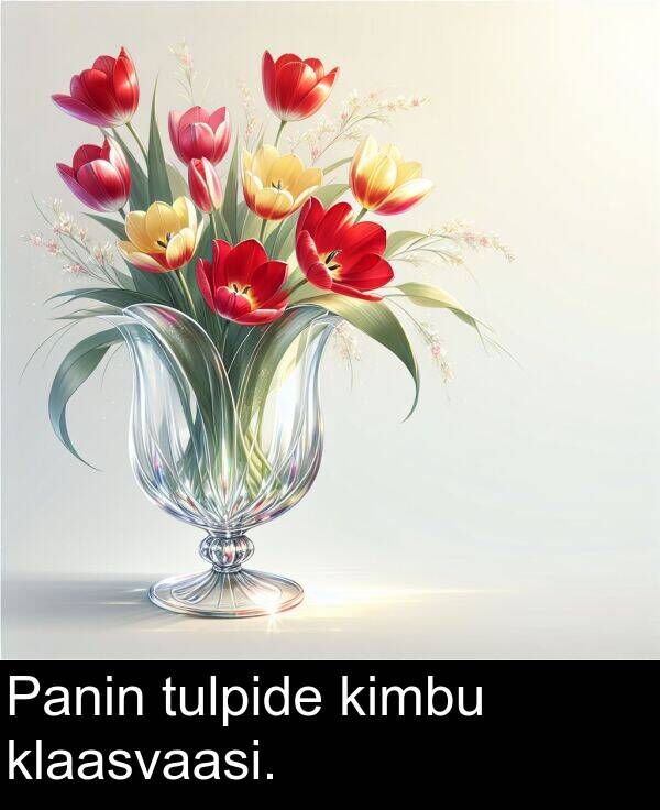 klaasvaasi: Panin tulpide kimbu klaasvaasi.