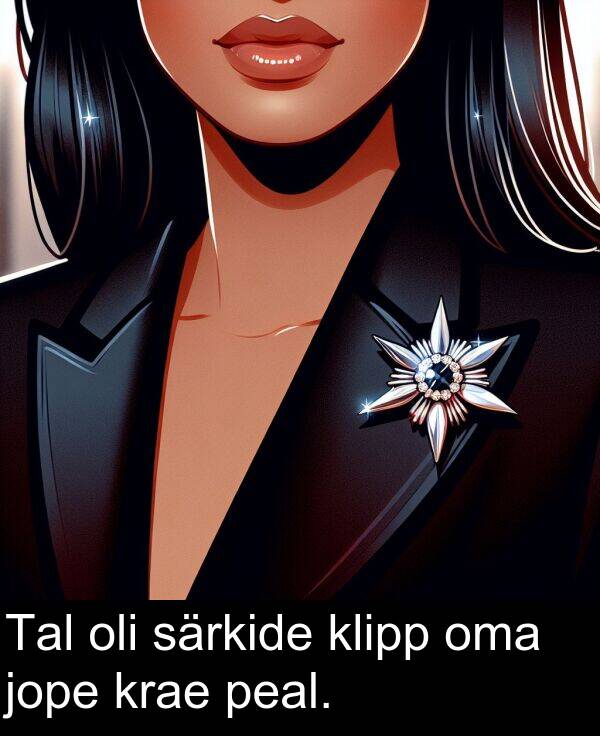 krae: Tal oli särkide klipp oma jope krae peal.