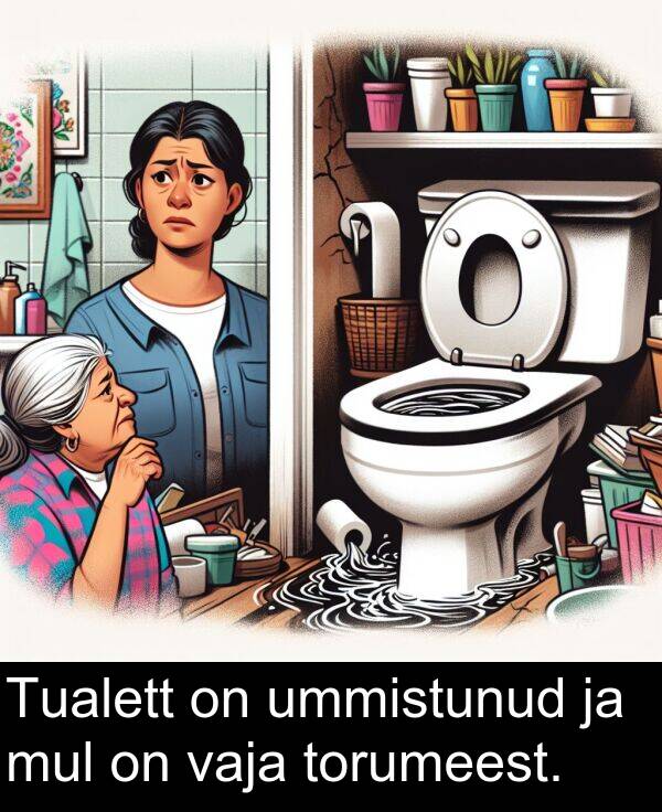 mul: Tualett on ummistunud ja mul on vaja torumeest.