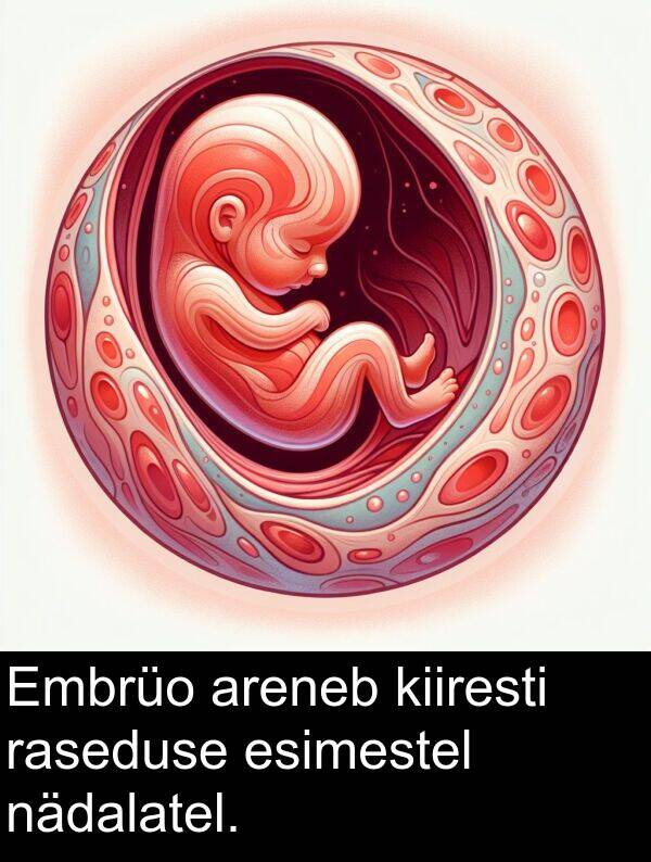 esimestel: Embrüo areneb kiiresti raseduse esimestel nädalatel.