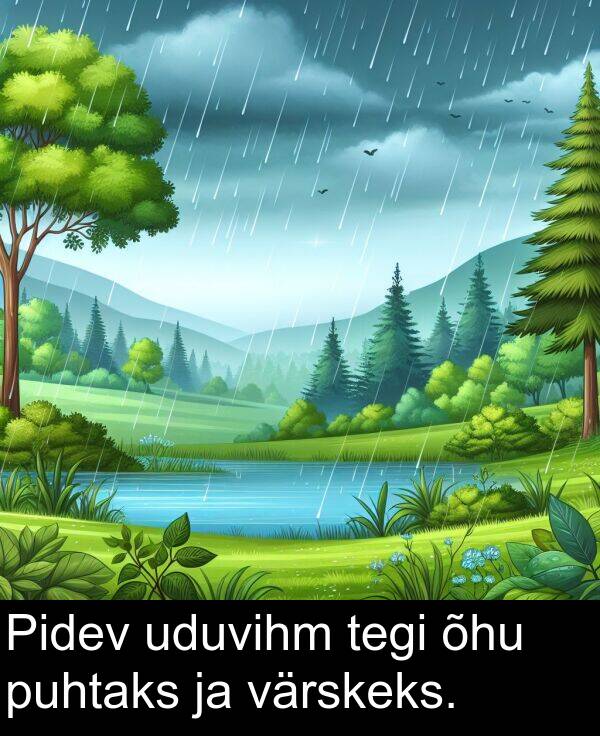 uduvihm: Pidev uduvihm tegi õhu puhtaks ja värskeks.