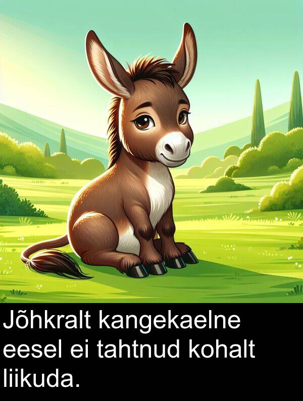 kohalt: Jõhkralt kangekaelne eesel ei tahtnud kohalt liikuda.
