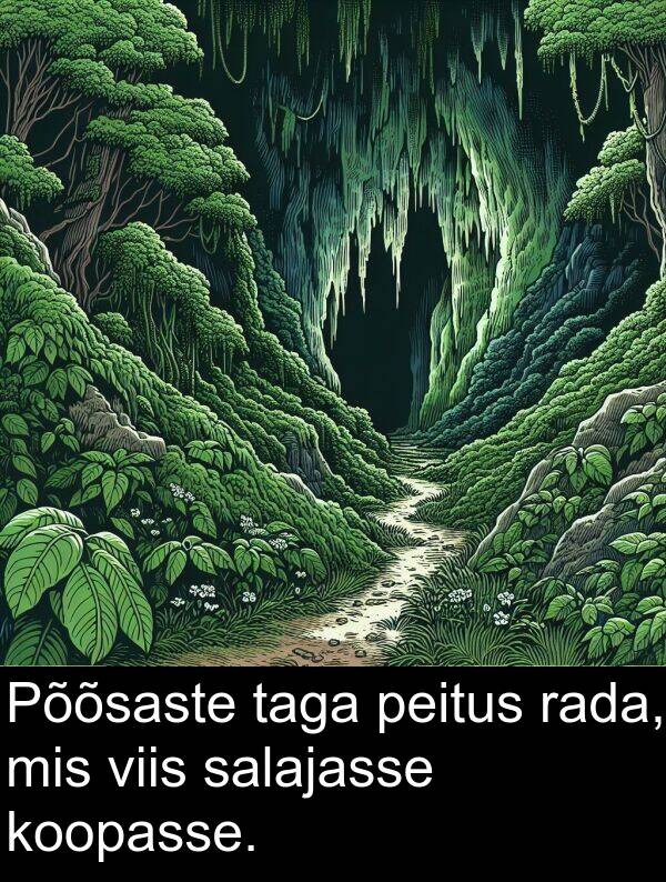 koopasse: Põõsaste taga peitus rada, mis viis salajasse koopasse.