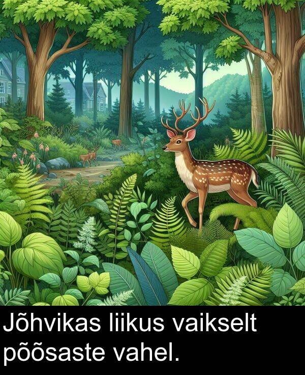 põõsaste: Jõhvikas liikus vaikselt põõsaste vahel.