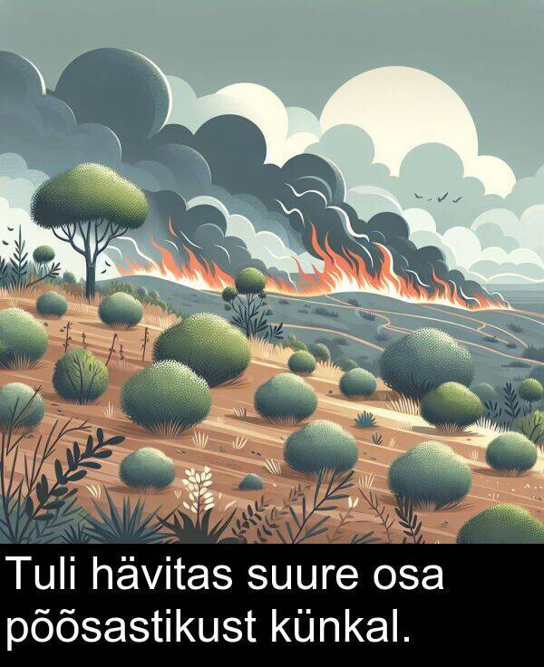 suure: Tuli hävitas suure osa põõsastikust künkal.