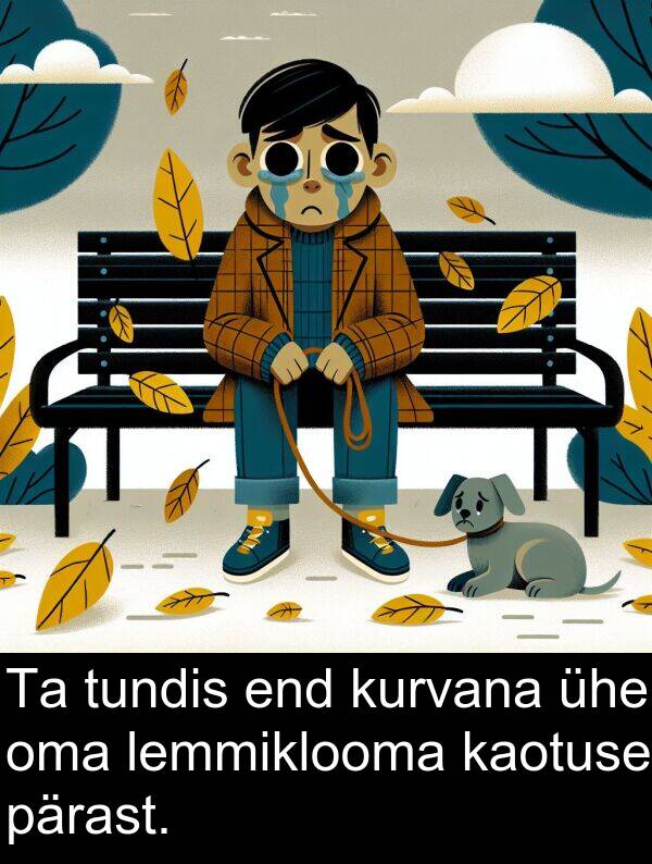 pärast: Ta tundis end kurvana ühe oma lemmiklooma kaotuse pärast.
