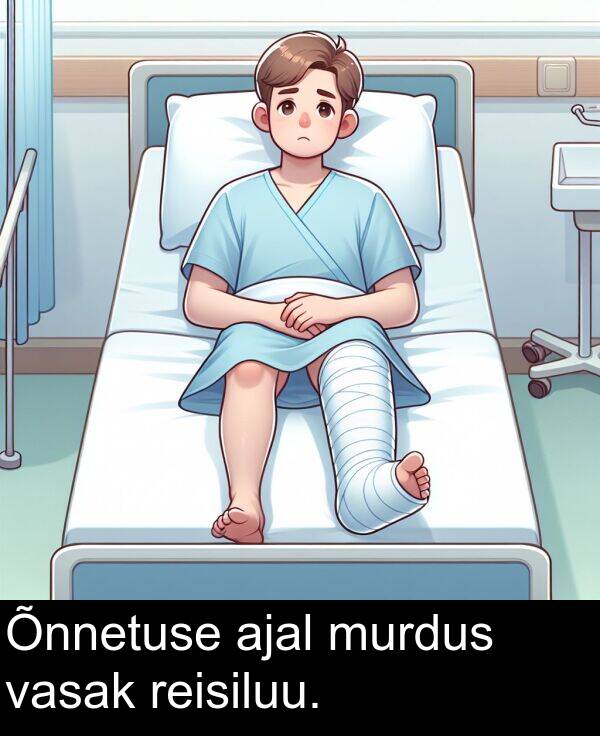 reisiluu: Õnnetuse ajal murdus vasak reisiluu.
