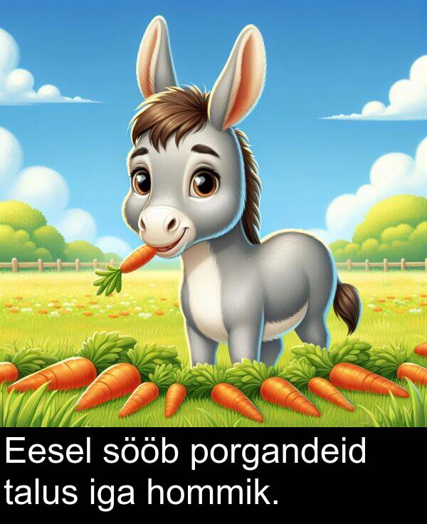 hommik: Eesel sööb porgandeid talus iga hommik.