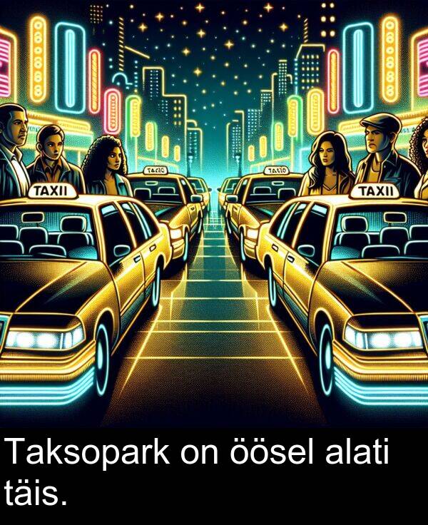 täis: Taksopark on öösel alati täis.