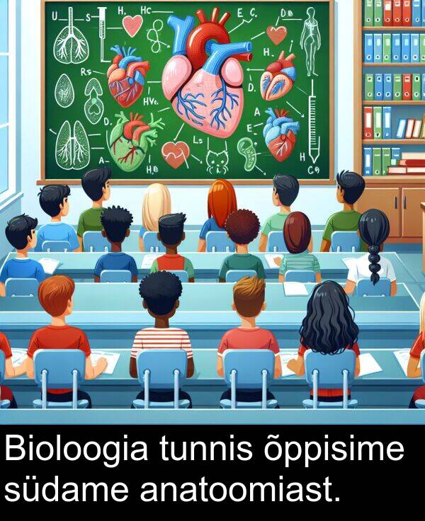 tunnis: Bioloogia tunnis õppisime südame anatoomiast.