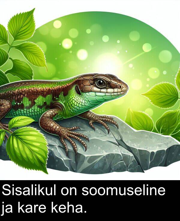 soomuseline: Sisalikul on soomuseline ja kare keha.